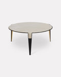 Nude Pink and Metal Coffee Table