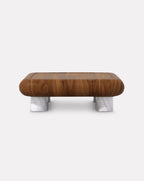 Wood and Marble Light Cofee Table